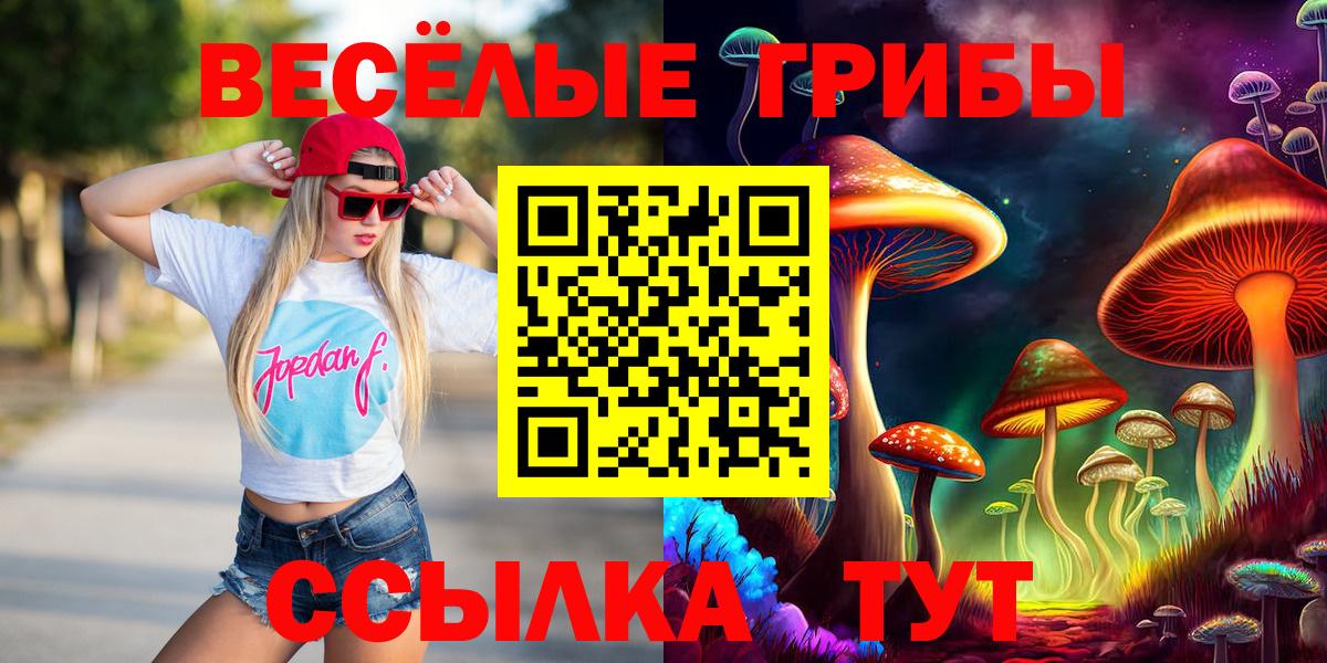 Заводоуковск  Галлюциногенные грибы GOLDEN TEACHER  Вход с VPN 