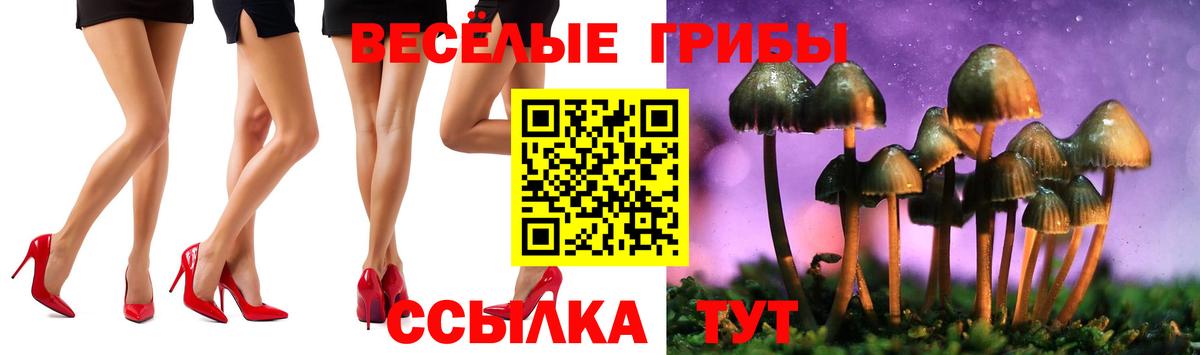 Галлюциногенные грибы мицелий Заводоуковск