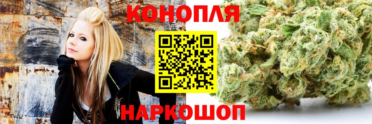 Марихуана ГИДРОПОН  Вход с VPN  Заводоуковск  Каннабис Bruce Banner  Каннабис планчик  Конопля Ganja 
